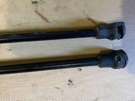 ФОТО Амортизатори кришки багажника Рено для Renault Kangoo II (07-21) Костопіль