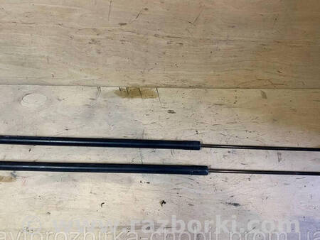 ФОТО Амортизатори кришки багажника Рено для Renault Kangoo II (07-21) Костопіль