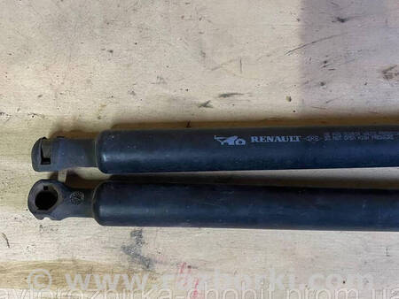 ФОТО Амортизатори кришки багажника Рено для Renault Kangoo II (07-21) Костопіль