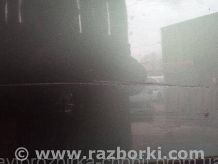 ФОТО Передні праві двері для Renault Scenic II (03-09) Костопіль