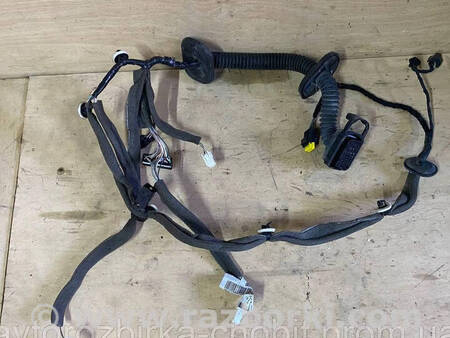 ФОТО Проводка передніх лівих дверей для Renault Scenic III (09-16) Костопіль