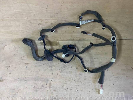 ФОТО Проводка задніх лівих дверей для Renault Scenic III (09-16) Костопіль