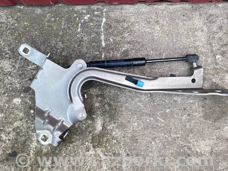 ФОТО Петля капота права для Renault Scenic III (09-16) Костопіль