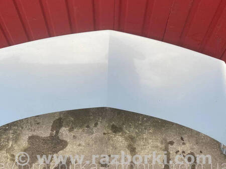 ФОТО Капот для Renault Modus (04-12) Костопіль