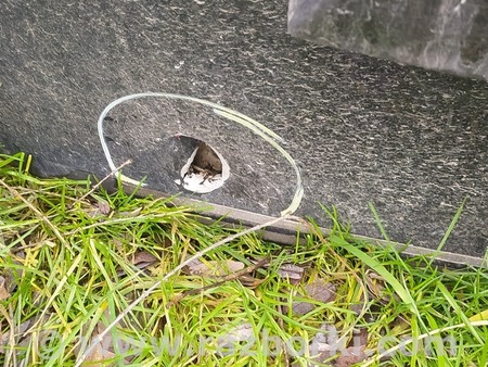 ФОТО Крышка багажника для Audi (Ауди) A6 C7 (11.2010-10.2018) Львів