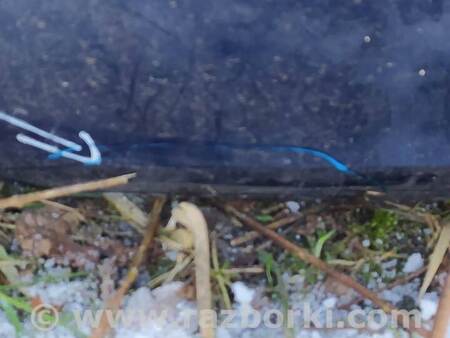 ФОТО Крышка багажника для Audi (Ауди) A4 B9 - 8W2, 8W5 (06.2015-...) Львів