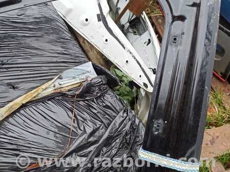 ФОТО Двері для Audi (Ауди) A4 IV B8 8K (07-15) Львів