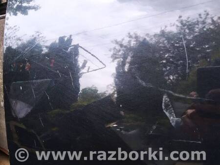 ФОТО Двері для Audi (Ауди) A6 Allroad quattro C6 (06.2006-03.2012) Львів