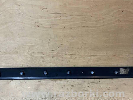 ФОТО Молдинг передніх лівих дверей для Renault Kangoo II (07-21) Костопіль