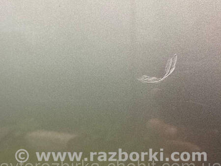 ФОТО Дверь передняя левая для Renault Scenic III (09-16) Костопіль