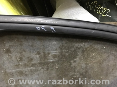 ФОТО Уплотнитель стекла двери для Audi (Ауди) A3 III 8V (12-20) Київ