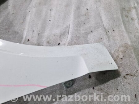 ФОТО Крыло для Audi (Ауди) A3 III 8V (12-20) Київ