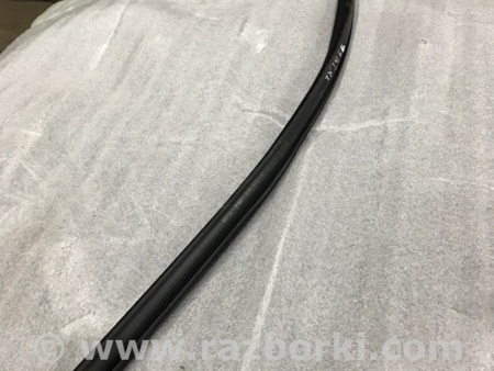 ФОТО Уплотнитель стекла двери для Audi (Ауди) A3 III 8V (12-20) Київ