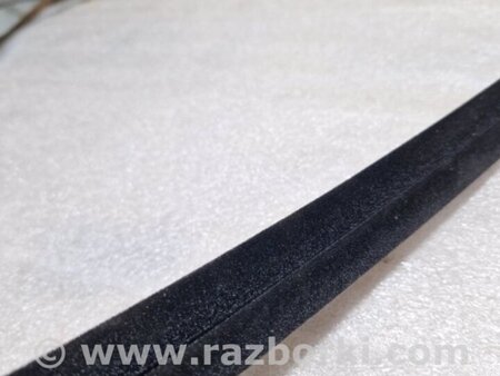 ФОТО Уплотнитель стекла двери для Audi (Ауди) A3 III 8V (12-20) Київ