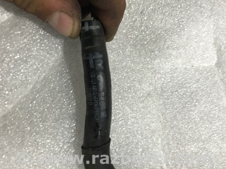 ФОТО Патрубок системы охлаждения для Audi (Ауди) A3 III 8V (12-20) Київ