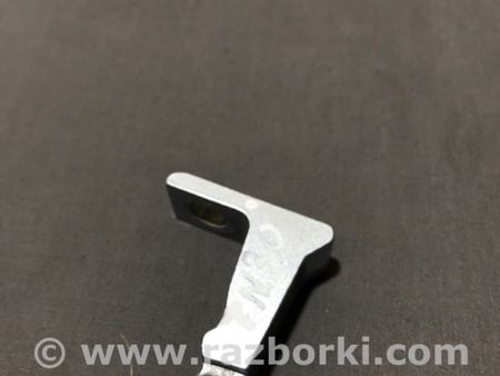 ФОТО Петля двери для Audi (Ауди) A3 III 8V (12-20) Київ