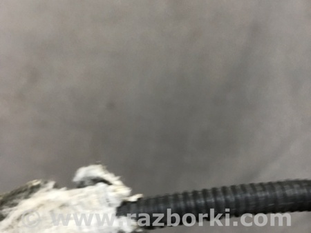 ФОТО Электропроводка для Audi (Ауди) A3 III 8V (12-20) Київ