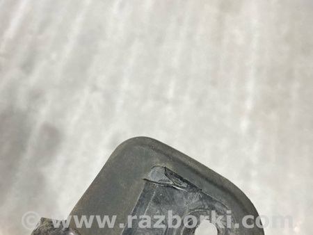 ФОТО Пыльник крыла для Audi (Ауди) A3 III 8V (12-20) Київ