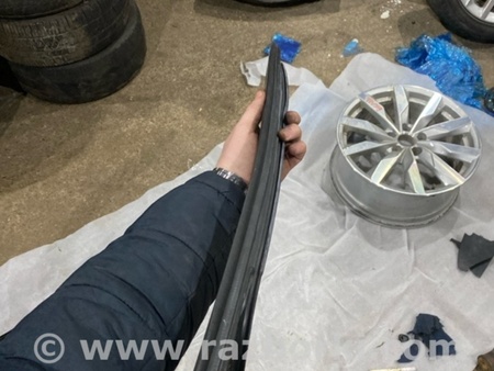 ФОТО Уплотнитель стекла двери для Audi (Ауди) A3 III 8V (12-20) Київ