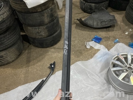 ФОТО Уплотнитель стекла двери для Audi (Ауди) A3 III 8V (12-20) Київ