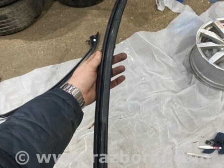 ФОТО Уплотнитель стекла двери для Audi (Ауди) A3 III 8V (12-20) Київ