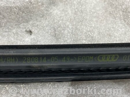 ФОТО Уплотнительная резинка боковой двери для Audi (Ауди) A3 III 8V (12-20) Київ