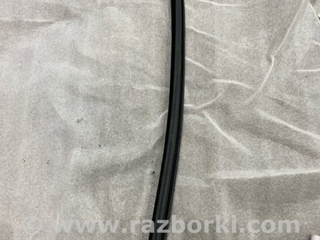 ФОТО Уплотнительная резинка боковой двери для Audi (Ауди) A3 III 8V (12-20) Київ