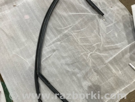 ФОТО Уплотнительная резинка боковой двери для Audi (Ауди) A3 III 8V (12-20) Київ