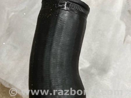 ФОТО Патрубок системы охлаждения для Audi (Ауди) A3 III 8V (12-20) Київ