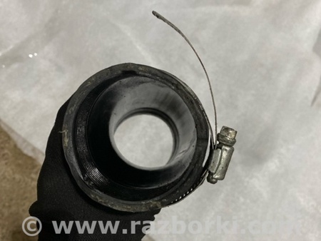 ФОТО Патрубок системы охлаждения для Audi (Ауди) A3 III 8V (12-20) Київ