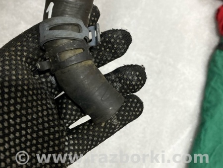 ФОТО Патрубок системы охлаждения для Audi (Ауди) A3 III 8V (12-20) Київ