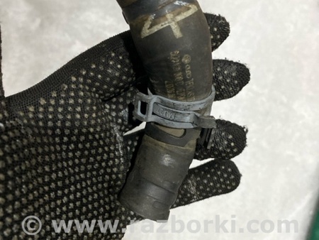 ФОТО Патрубок системы охлаждения для Audi (Ауди) A3 III 8V (12-20) Київ
