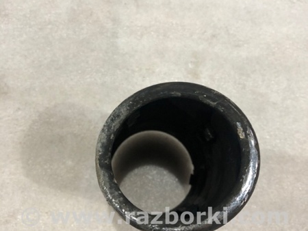 ФОТО Насадка на глушитель для Audi (Ауди) A3 III 8V (12-20) Київ