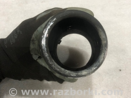 ФОТО Насадка на глушитель для Audi (Ауди) A3 III 8V (12-20) Київ