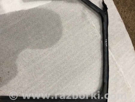 ФОТО Уплотнитель стекла двери для Audi (Ауди) A3 III 8V (12-20) Київ