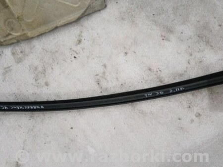 ФОТО Уплотнительная резинка боковой двери для Audi (Ауди) A3 III 8V (12-20) Київ