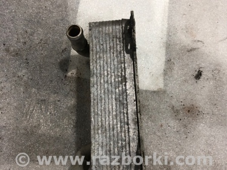 ФОТО Радиатор АКПП для Audi (Ауди) A3 III 8V (12-20) Київ