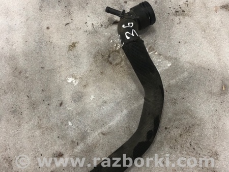 ФОТО Патрубок системы охлаждения для Audi (Ауди) A3 III 8V (12-20) Київ