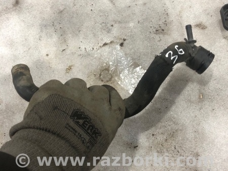 ФОТО Патрубок системы охлаждения для Audi (Ауди) A3 III 8V (12-20) Київ