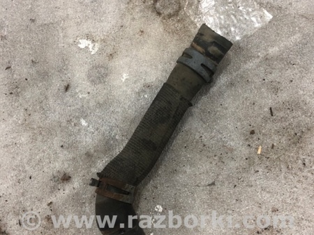 ФОТО Патрубок системы охлаждения для Audi (Ауди) A3 III 8V (12-20) Київ