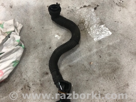 ФОТО Патрубок системы охлаждения для Audi (Ауди) A3 III 8V (12-20) Київ