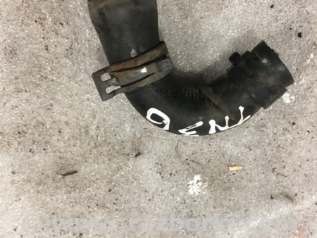 ФОТО Патрубок системы охлаждения для Audi (Ауди) A3 III 8V (12-20) Київ