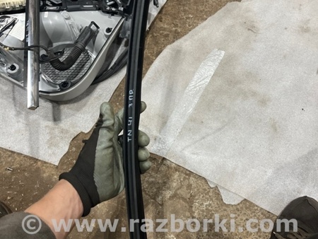 ФОТО Уплотнитель стекла двери для Audi (Ауди) A3 III 8V (12-20) Київ