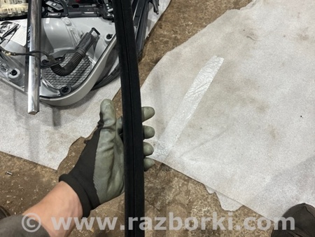 ФОТО Уплотнитель стекла двери для Audi (Ауди) A3 III 8V (12-20) Київ