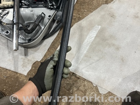 ФОТО Уплотнитель стекла двери для Audi (Ауди) A3 III 8V (12-20) Київ