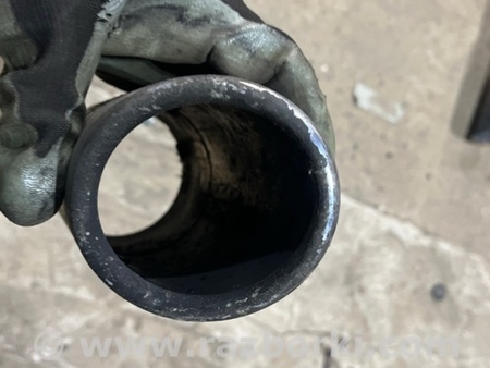 ФОТО Насадка на глушитель для Audi (Ауди) A3 III 8V (12-20) Київ