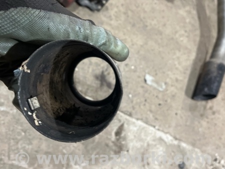 ФОТО Насадка на глушитель для Audi (Ауди) A3 III 8V (12-20) Київ