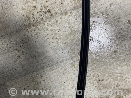 ФОТО Уплотнительная резинка для Audi (Ауди) A3 III 8V (12-20) Київ