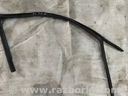 ФОТО Уплотнительная резинка для Audi (Ауди) A3 III 8V (12-20) Київ