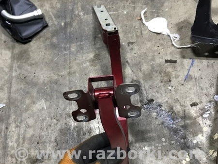 ФОТО Петля двери багажника для Audi (Ауди) A4 V B9 - 8W (2015-) Київ